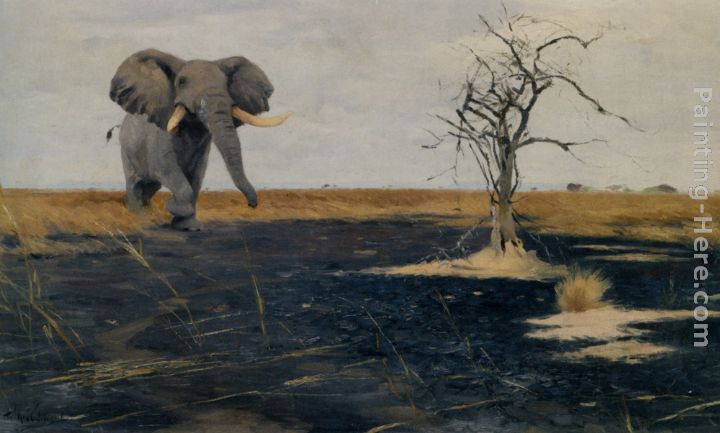 The Lone Elephant painting - Wilhelm Kuhnert The Lone Elephant art painting